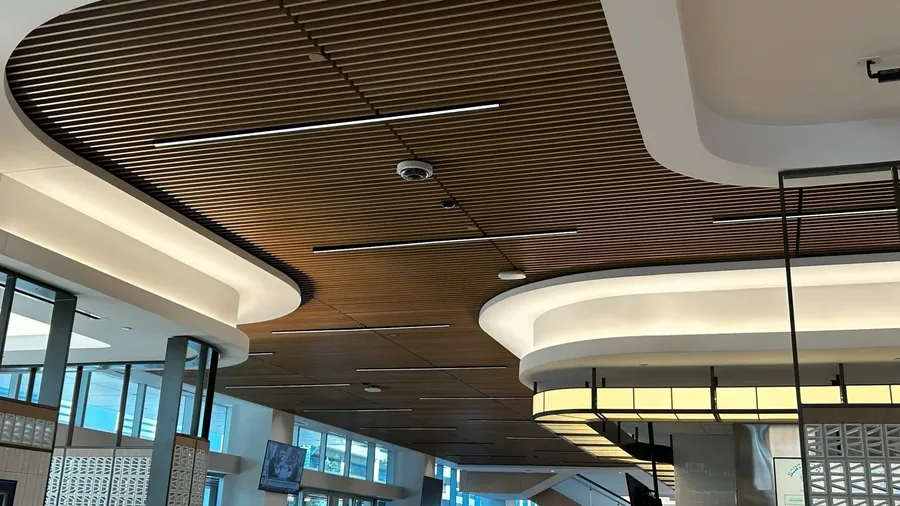 A slatted ceiling crowded with services